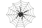 spiderweb.png