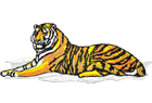 tiger2.png