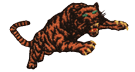 tiger3.png