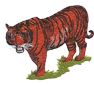 tiger4.png