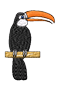 toucan.png