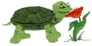 turtle3.png