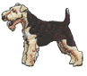 welshterrier.png