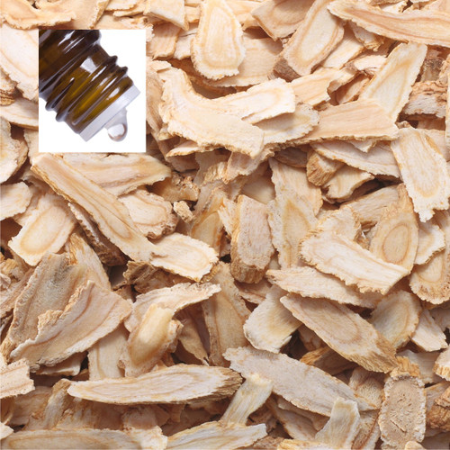 Angelica Root England Pure Essential Oil