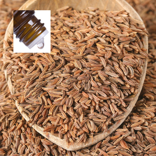 Caraway Seed Pure Essential Oil