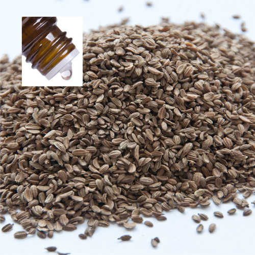 Carrot Seed Pure Essential Oil