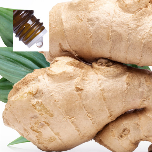 Ginger Pure Essential Oil
