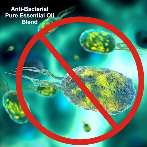Anti-Bacterial Blend Pure Essential Oil