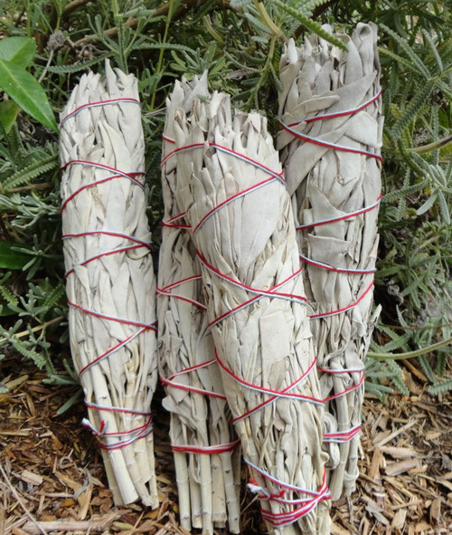 Large Sage Bundle