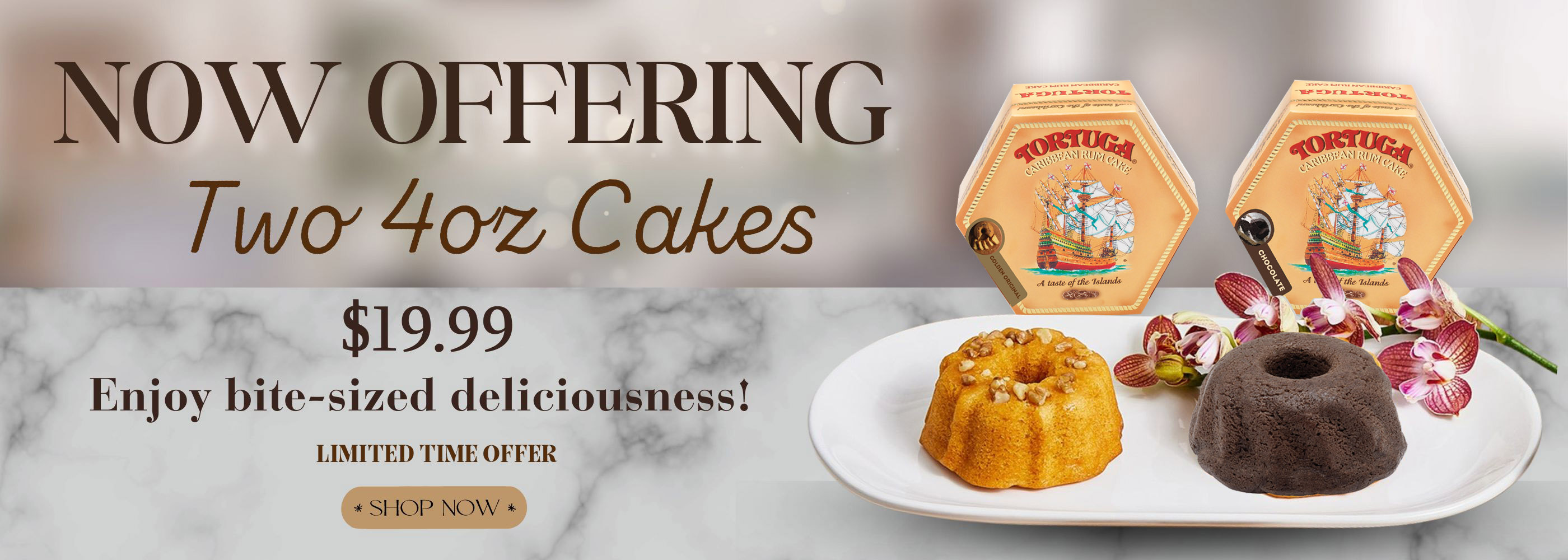 Banner design for cake bakery special offer with home delivery