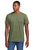 color-olivedrabgreen