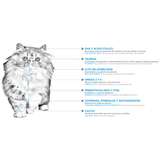 Nupec  Gatito Kitten