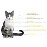 Nupec Gato Urinary Management