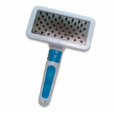 Carda Antinudos (Mediana)