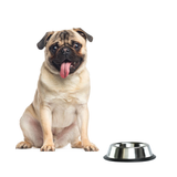 Comedero De Acero Inoxidable (24 onz)