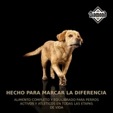 Diamond Premium Adulto
