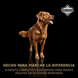Diamond Maintenance Perro