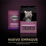 Diamond Maintenance Gato