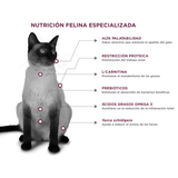 Nupec Felino Renal Care