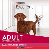 Excellent Adulto Razas Medianas y Grandes