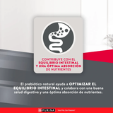 Excellent Adulto Razas Medianas y Grandes