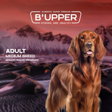 Bupper Adulto Raza Mediana
