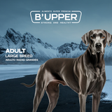 Bupper Adulto Raza Grande