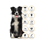 Advantage Multi para Perro de 10 a 25 Kg