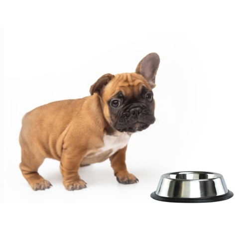 Comedero De Acero Inoxidable (8onz)