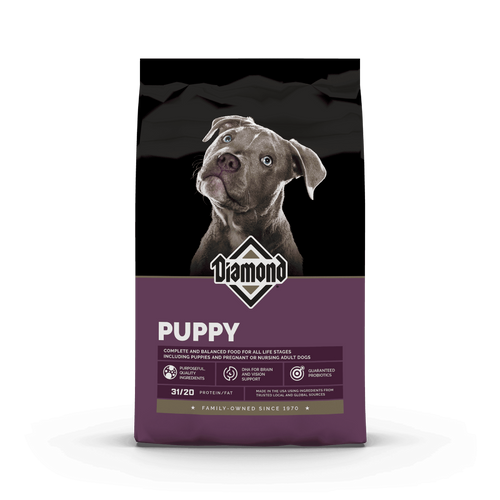 Diamond Cachorro