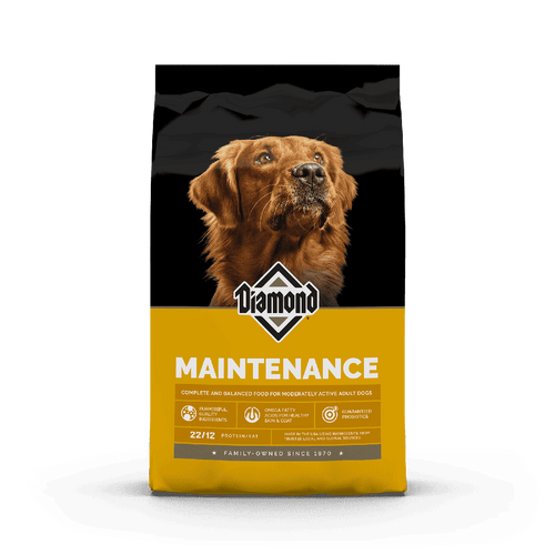 Diamond Maintenance Perro
