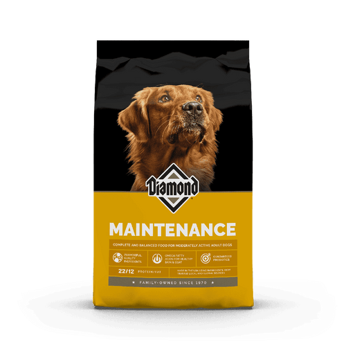 Diamond Maintenance Perro
