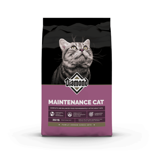 Diamond Maintenance Gato