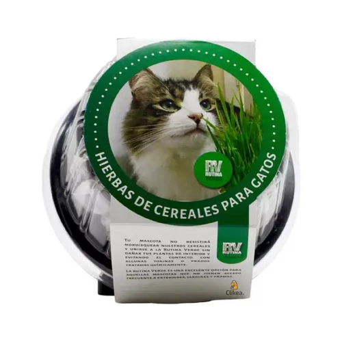 Rutina Verde para Gato
