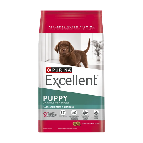 Excellent Cachorro Razas Medianas y Grandes