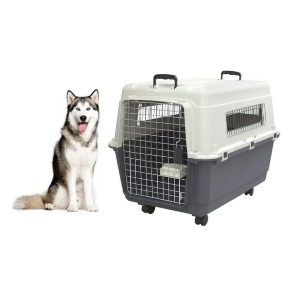 Transportadora Kennel Extra Grande