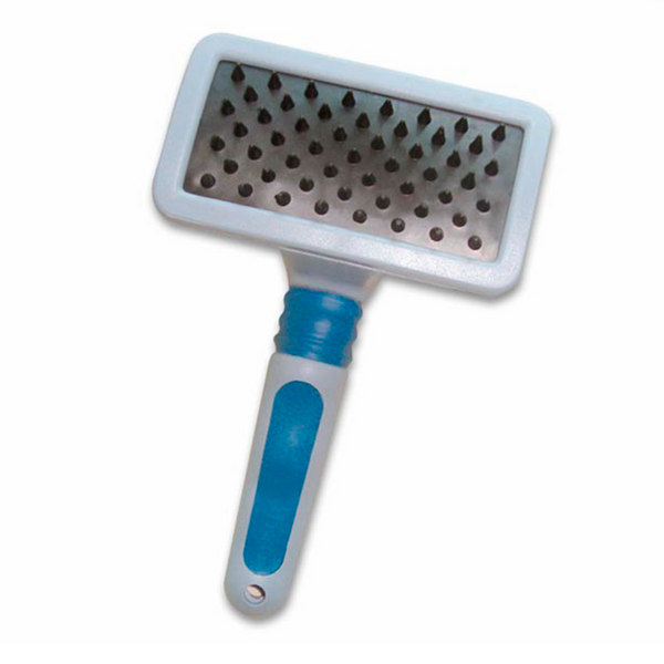 Carda Antinudos (Mediana)