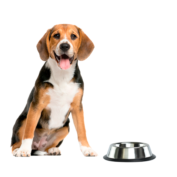 Comedero De Acero Inoxidable (64 onz)