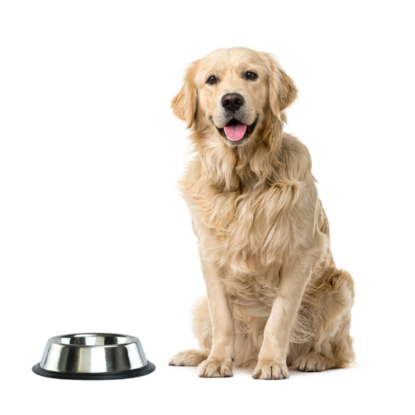 Comedero De Acero Inoxidable (96 onz)