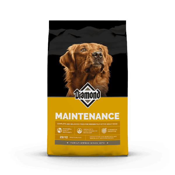 Diamond Maintenance Perro