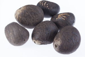 1.5~2.5" Natural Aged Honey Tagua Nut Fully Drilled, 2pcs [yc22]