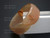25mm Free Size Amber Horn Bangle [z7908]