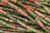 4x13mm Unakite Tube Beads 15.5" natural [h1b21]