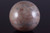 56mm Oyster Agate Sphere [yc42]