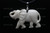 58X36mm Buffalo Bone Elephant Designer Bead Pendant [z1359]