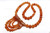 54x52mm Amber Horn Necklace 18" [z7513]