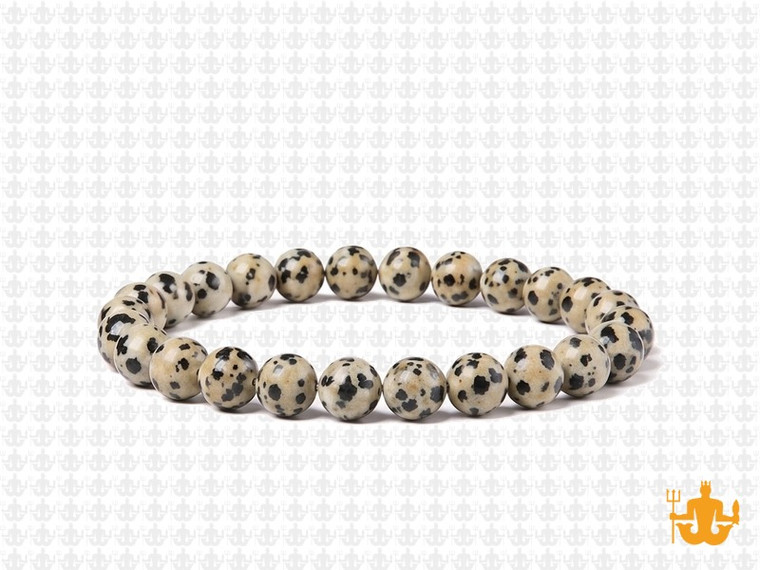 6mm Matte Dalmatian Jasper Elastic Bracelet 7.5" natural [b2b23m]