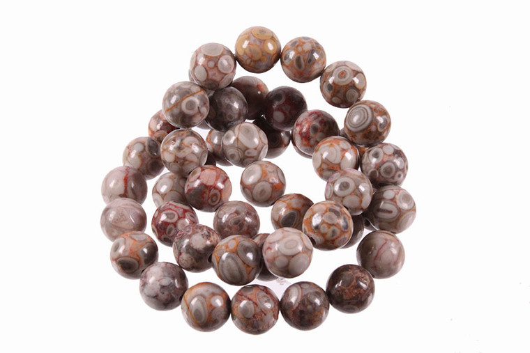 12mm Fossil Agate Round Beads 15.5" natural [12r68]