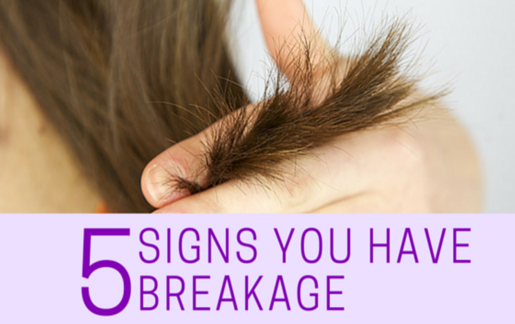 5 Signs You Have A Hair Breakage Problem Design Essentials