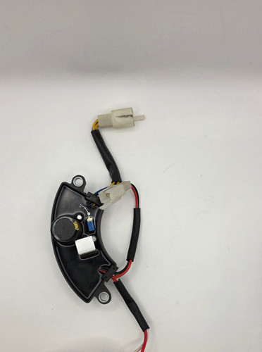 AUTOMATIC VOLTAGE REGULATOR ASSEMBLY (WGen3600DF)

